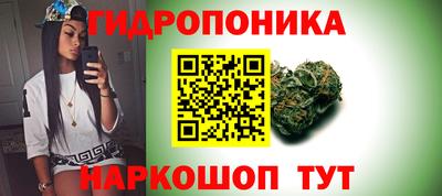 мескалин Можга