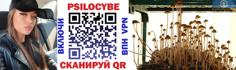 маркетплейс Telegram  где найти   Десногорск  Галлюциногенные грибы Psilocybe 