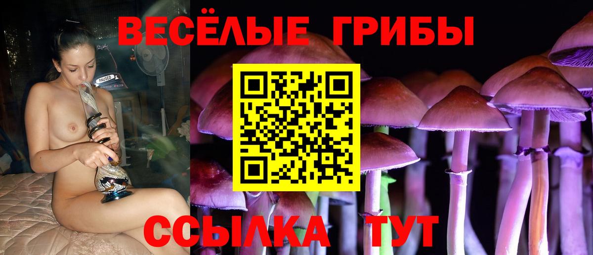 Галлюциногенные грибы Magic Shrooms Десногорск
